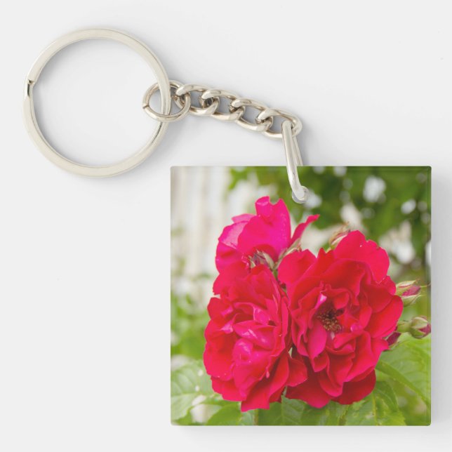 Big red roses in the garden  key ring (Front)