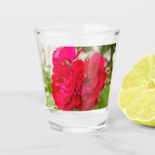 Big red roses in the garden shot glass