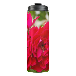 Big red roses in the garden thermal tumbler