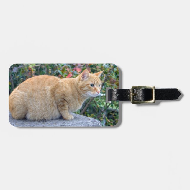 Big Red Tabby Luggage Tag (Front Horizontal)
