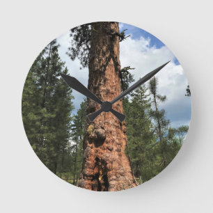 Big Red Tree, La Pine, OR Round Clock