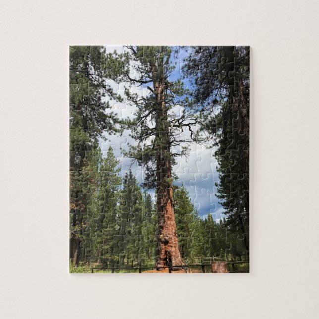 Big Red Tree, La Pine, Oregon Jigsaw Puzzle (Vertical)