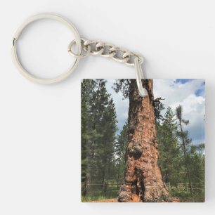 Big Red Tree, La Pine, Oregon Key Ring