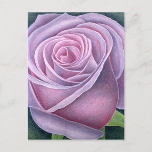 Big Rose 2003 Postcard