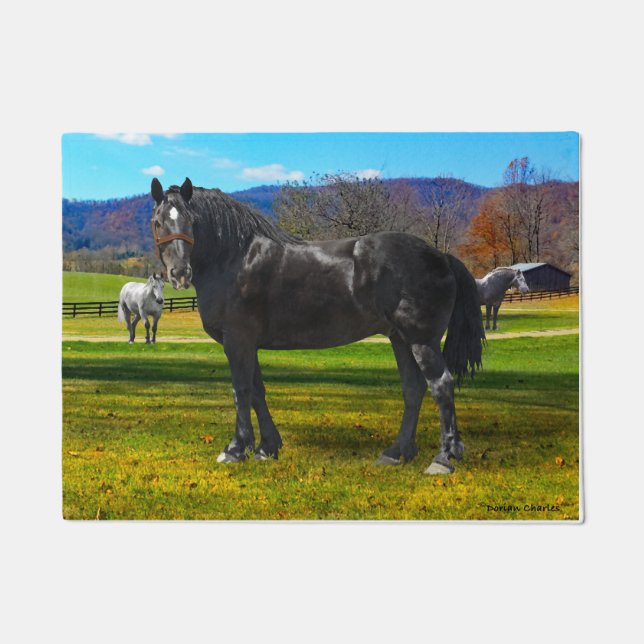 "Big Sam" Doormat (Front)