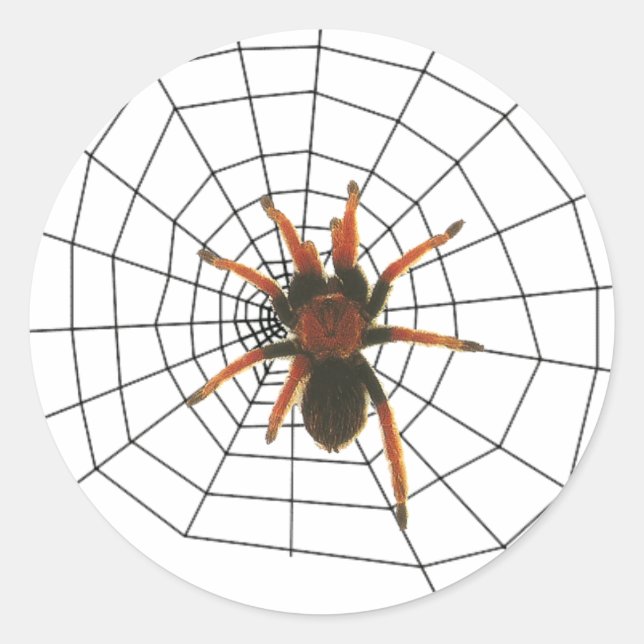 big scary spider classic round sticker (Front)