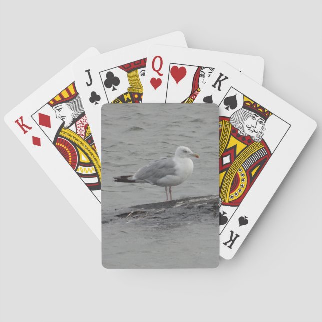 Big seagull playing cards (Back)
