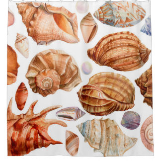 big set of seashells on an isolated white backgrou shower curtain