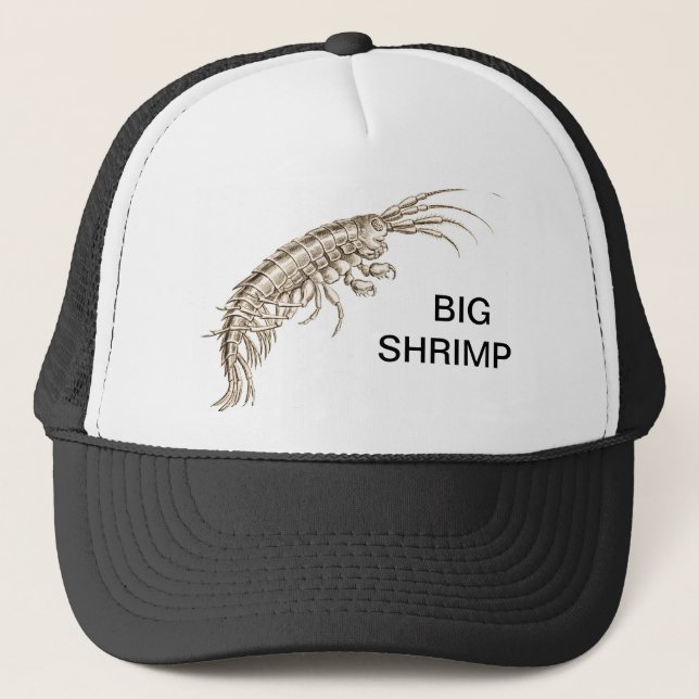 BIG SHRIMP - Baseball Hat (Front)