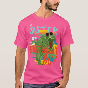 Big Sister Birthday Boy T Rex Dinosaur Matching Fa T-Shirt
