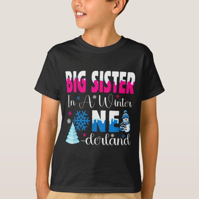 Big Sister In A Winter Onederland Bday Girl Sweet  T-Shirt (Front)