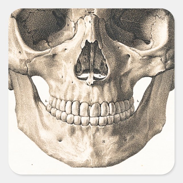 Big Skull, Small Skull Square Sticker (Front)