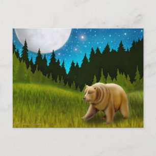 Big Sky Grizzly Postcard
