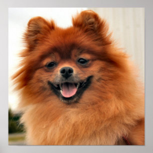 Big Smile Poster
