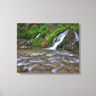 Big Springs Virgin River   Zion National Park Canvas Print