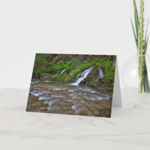 Big Springs Virgin River   Zion National Park Card