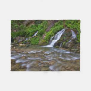 Big Springs Virgin River   Zion National Park Fleece Blanket