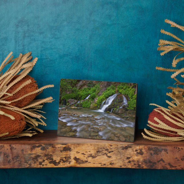 Big Springs Virgin River | Zion National Park Plaque (Side)