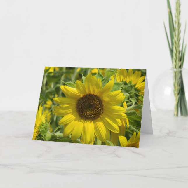 Big Sunflower Greeting Card (Front)