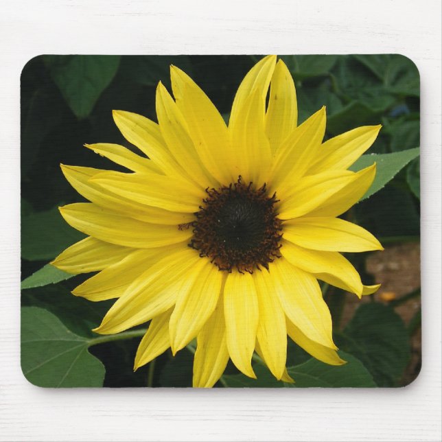 Big Sunflower Mouse Pad (Front)