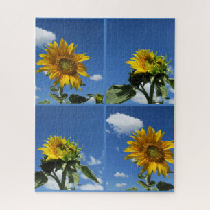 big sunflower shines yellow blue sky white little  jigsaw puzzle