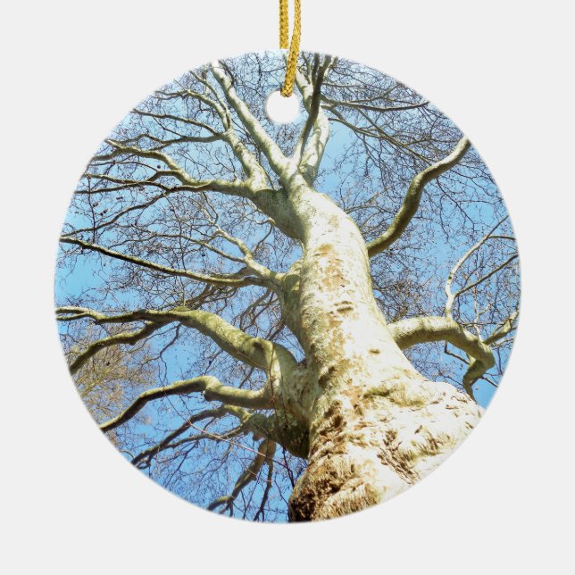 Big Sunny Tree Branches in Heavenly Blue Sky Ceramic Tree Decoration (Front)
