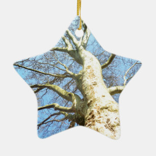 Big Sunny Tree Branches in Heavenly Blue Sky Ceramic Tree Decoration