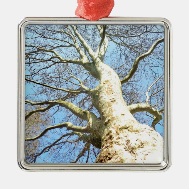 Big Sunny Tree Branches in Heavenly Blue Sky Metal Tree Decoration (Front)