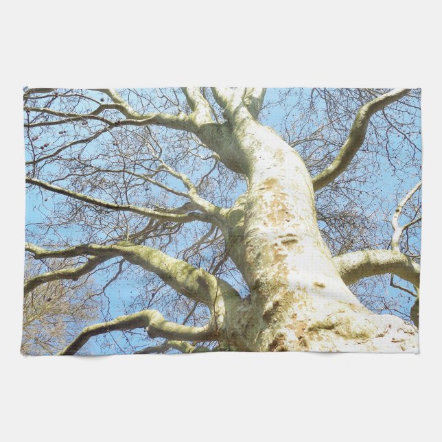 Big Sunny Tree Branches in Heavenly Blue Sky Tea Towel (Horizontal)