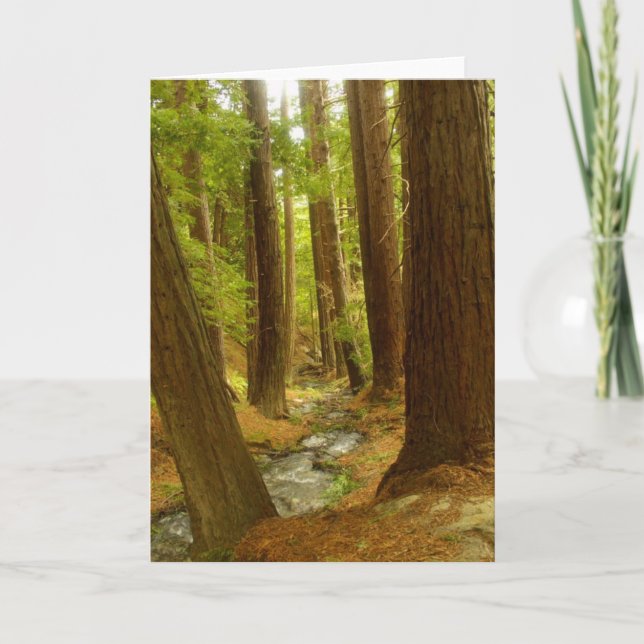 Big Sur, California Card (Front)
