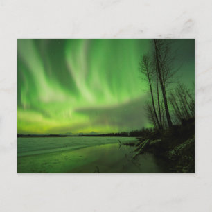 Big Susitna Aurora Postcard