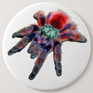 Big teal purple red and blue tarantula spider 6 cm round badge
