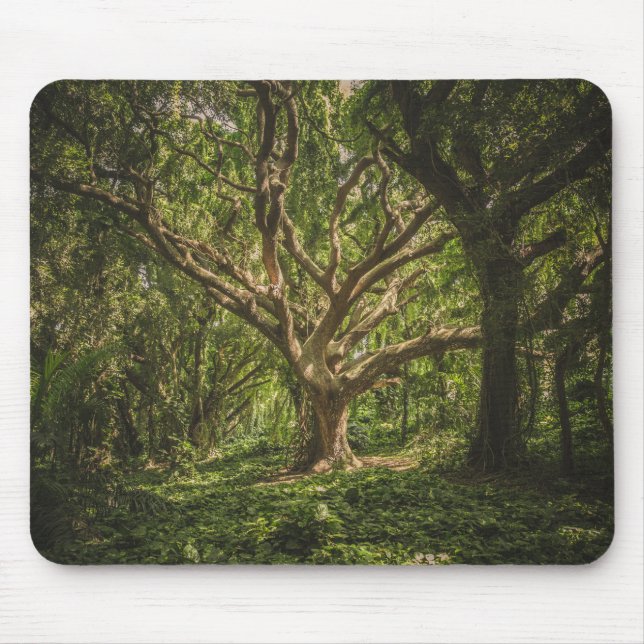 Big Tree Forest Mouse Pad (Front)