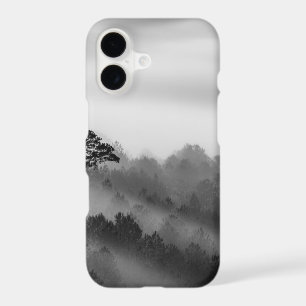 Big Tree in Pine Forest in the Mist