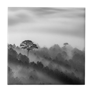 Big Tree in Pine Forest in the Mist Tile
