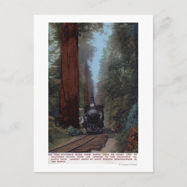 Big Tree Railroad Station Postcard (Front)