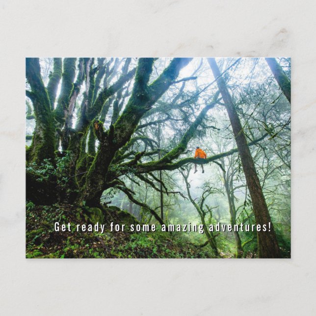 Big Trees Amazing Adventure Teacher Note Postcard (Front)