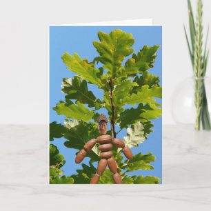 Big trees from little acorns grow. card