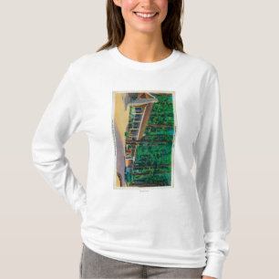 Big Trees Lodge in The Mariposa Grove T-Shirt