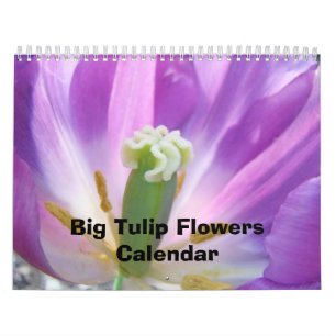 Big Tulip Flowers Calendar Nature Floral Colourful