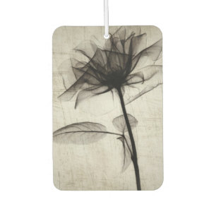 Big Vintage X-Ray Flower Car Air Freshener