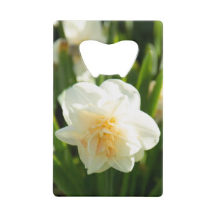 Big white daffodils on a spring day