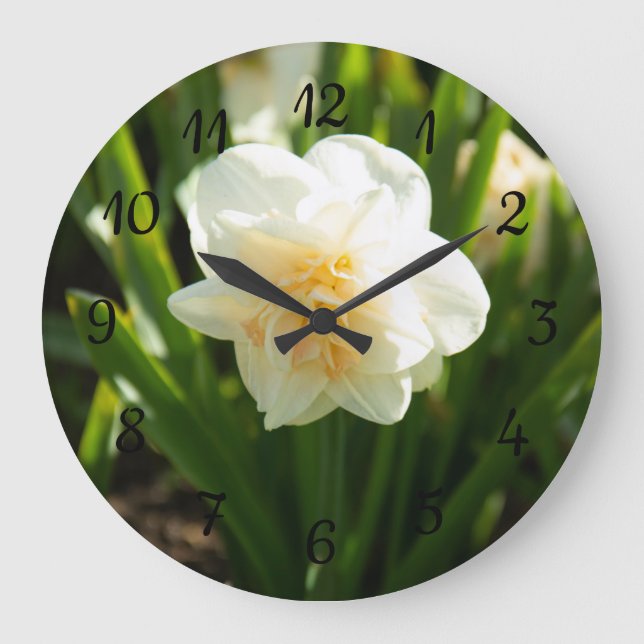 Big white daffodils on a spring day  large clock (Front)