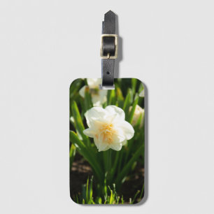 Big white daffodils on a spring day   luggage tag