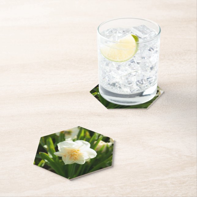 Big white daffodils on a spring day  paper coaster (Insitu)
