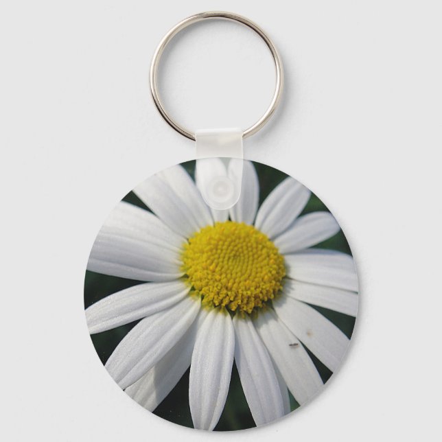 Big White Daisy   Key Ring (Front)