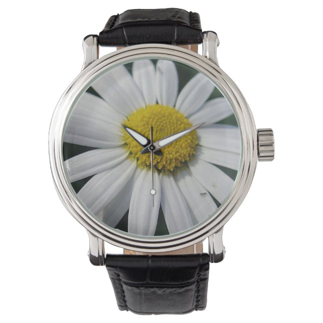 Big White Daisy  Watch (Front)