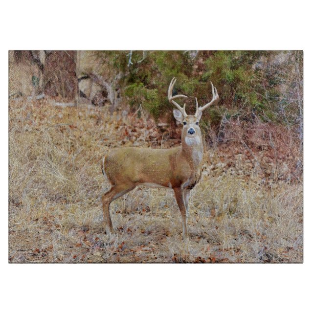 Big Wild Buck Deer Nature Glass Cutting Board (Front)