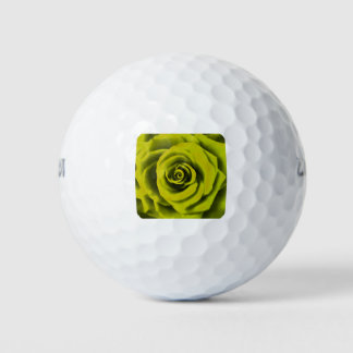 Big Yellow Rose Golf Balls