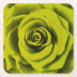 Big Yellow Rose Square Paper Coaster